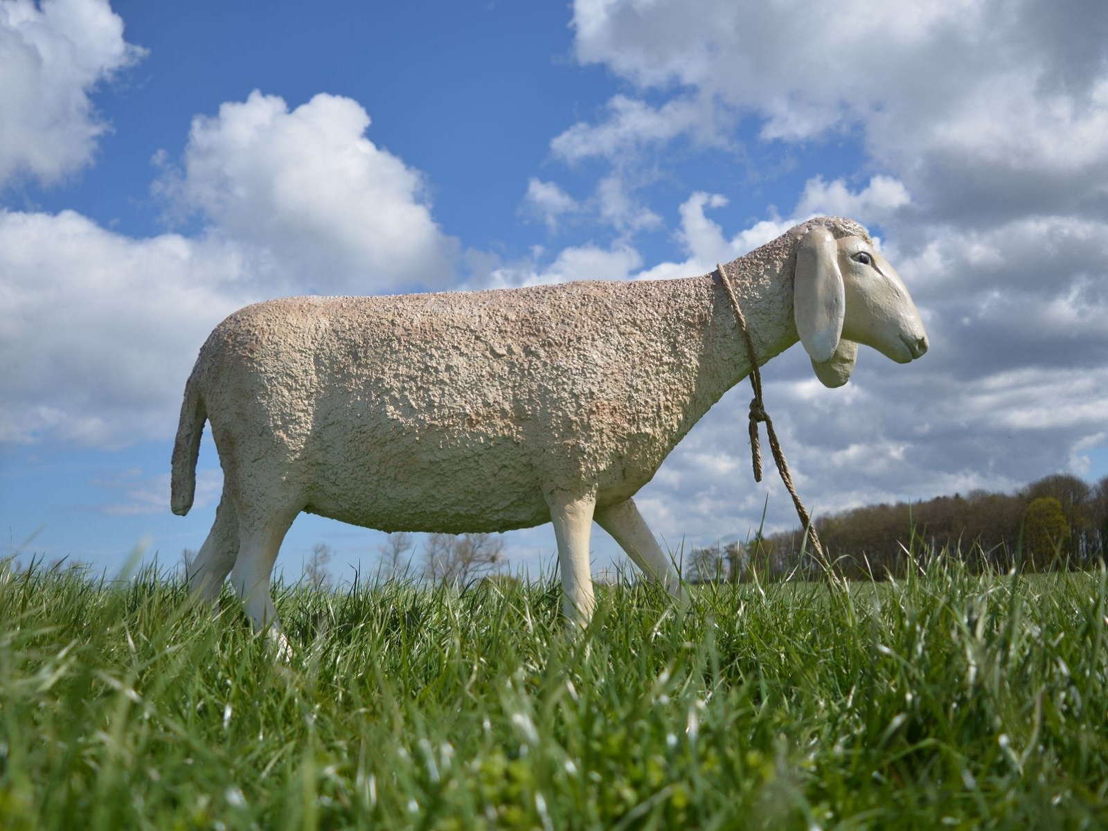 Schaf groß ∗ No.2