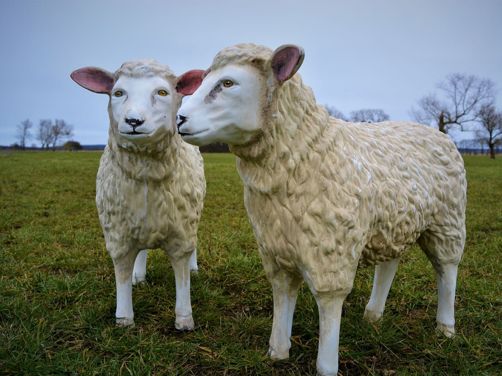 Schaf klein ∗ No.1 – Bild 3