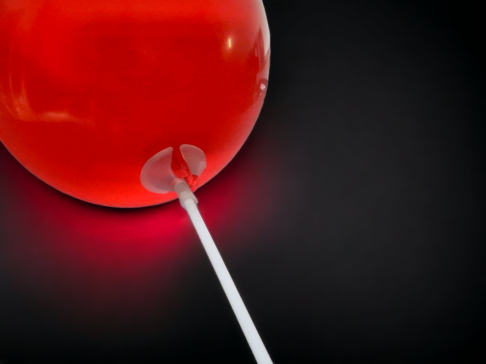 Ballonstäbe - für Latexballons