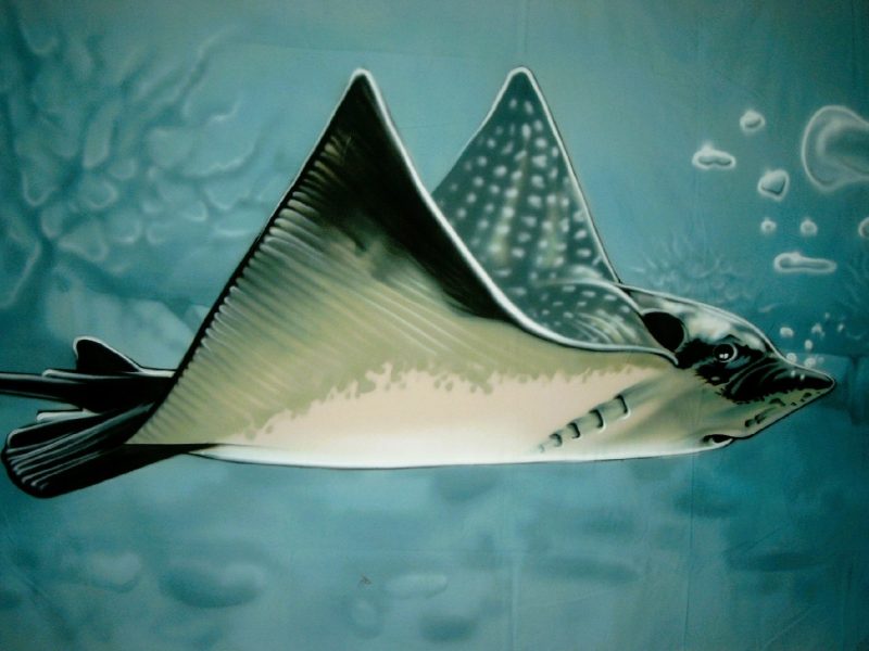 Rochen - Bühnenbild ∗ No.24