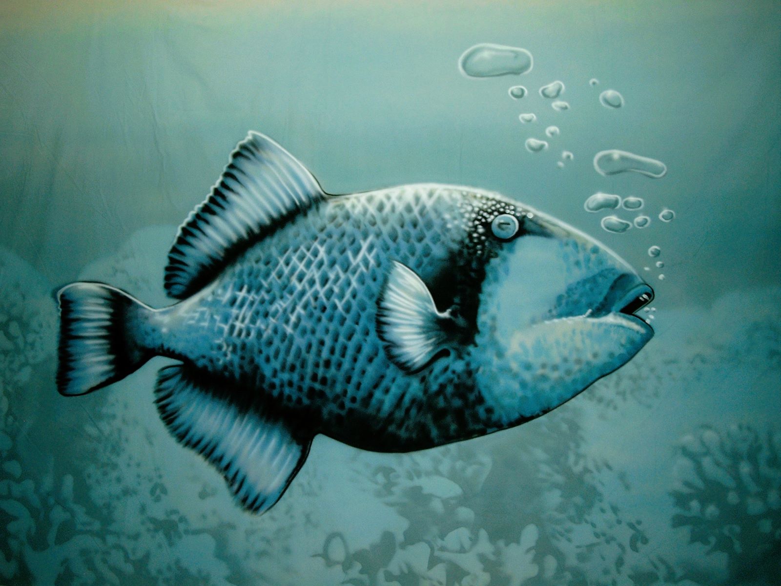 Südseefisch - Bühnenbild ∗ No.26