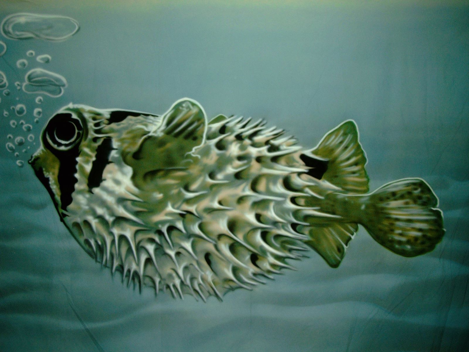 Kugelfisch - Bühnenbild ∗ No.22