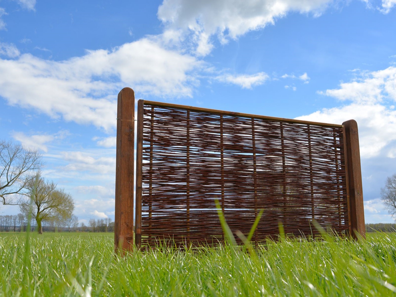 Weidenzäune