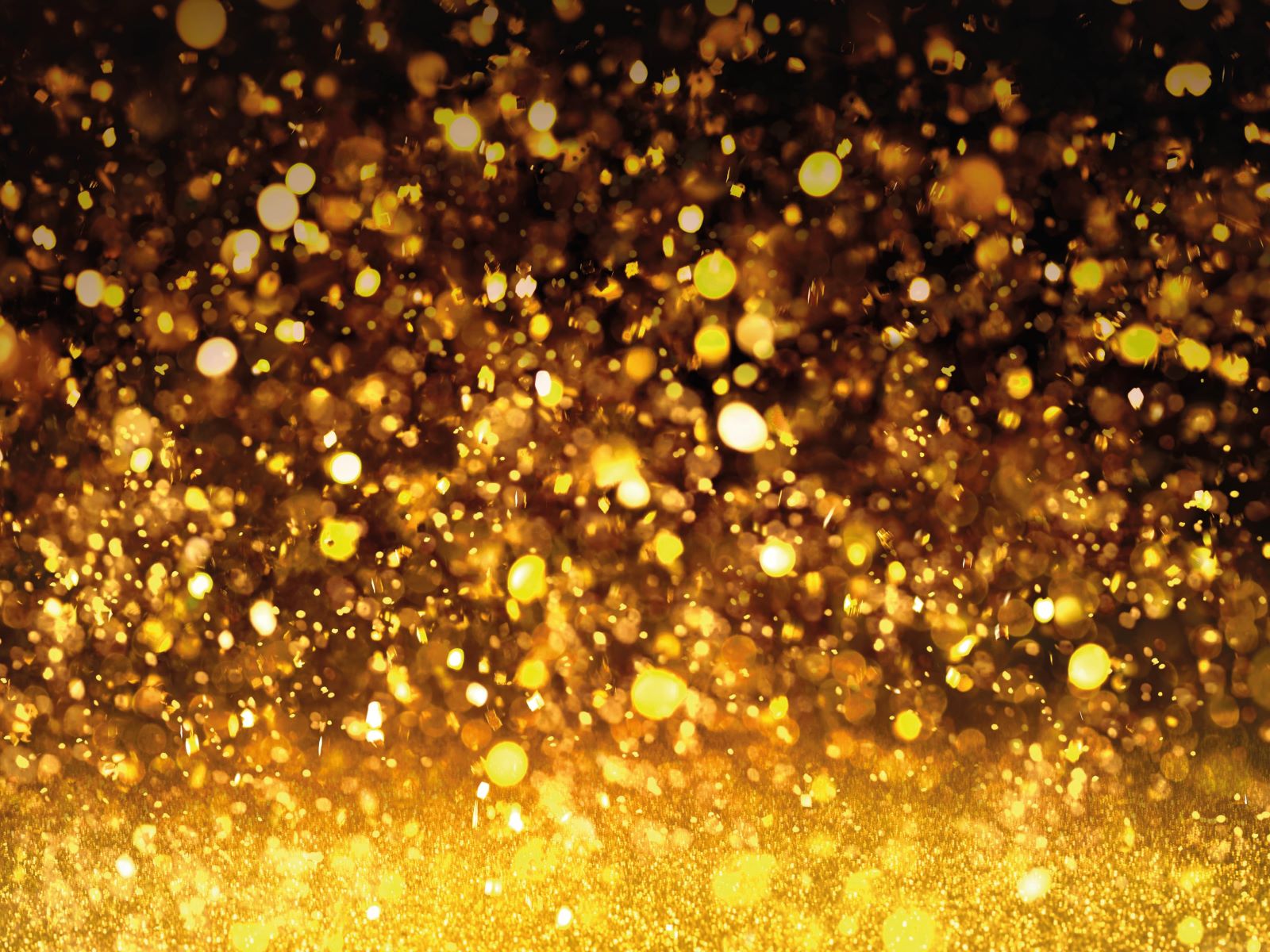 Goldregen - Zaunbanner Gold Rush Party ∗ No.1