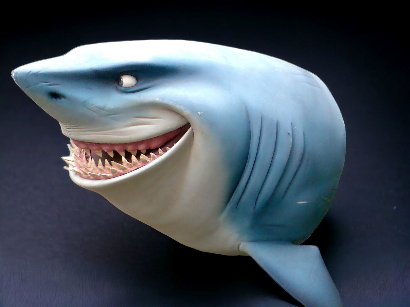 Hai Fischkopf ∗ No.5