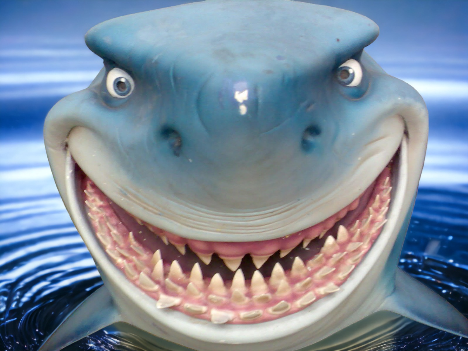 Hai Fischkopf ∗ No.5 – Bild 2