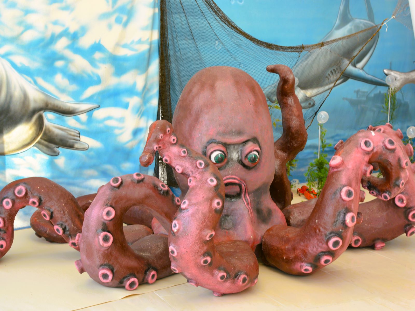 Krake - Oktopus - Tintenfisch – Bild 3