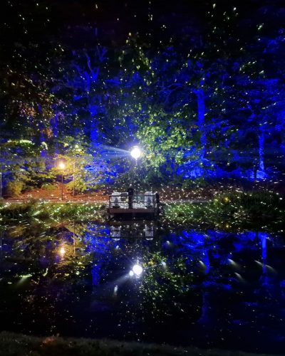 Zauberhafte Lichtstimmung