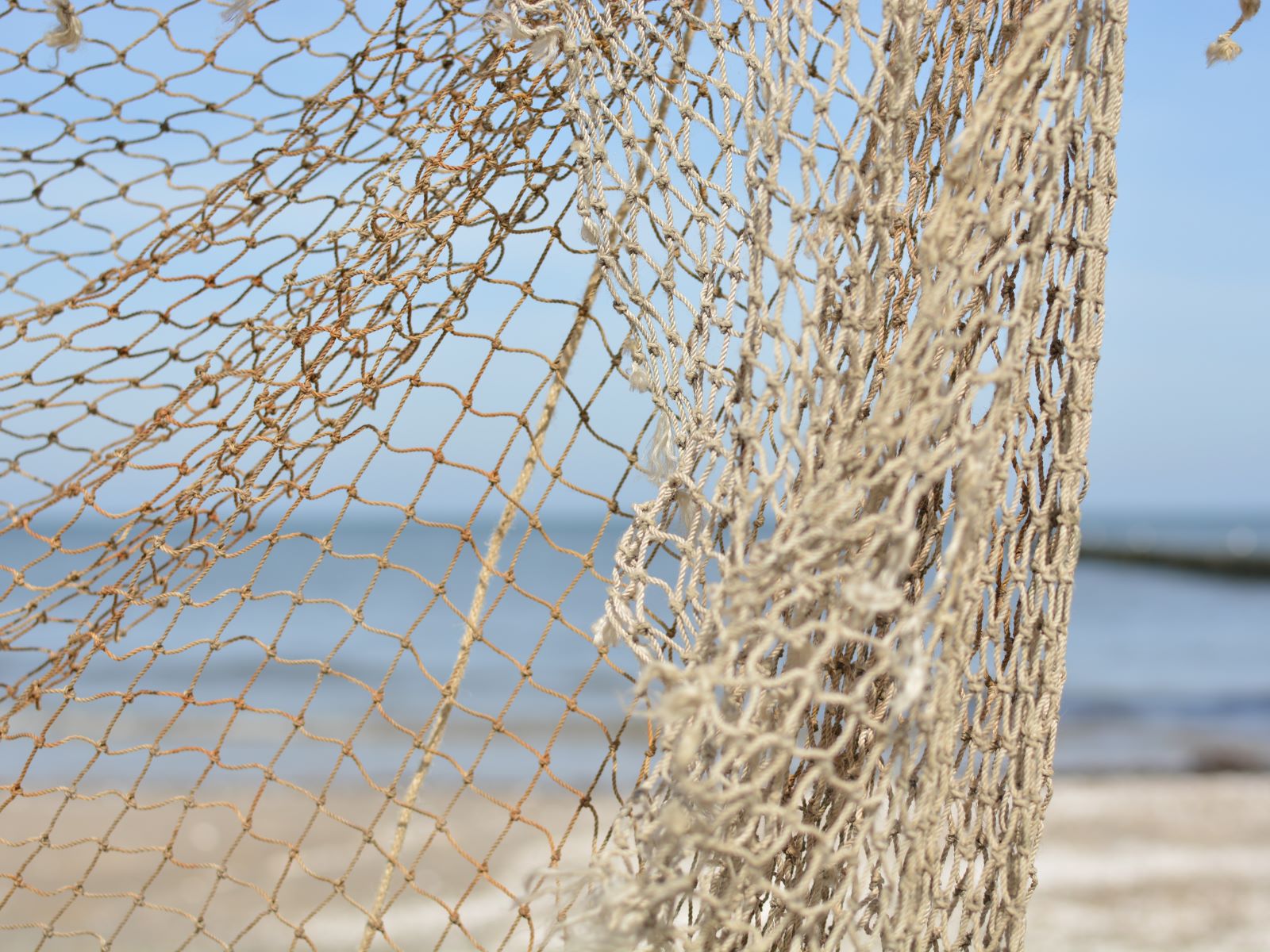 Fischernetze - Stellnetze