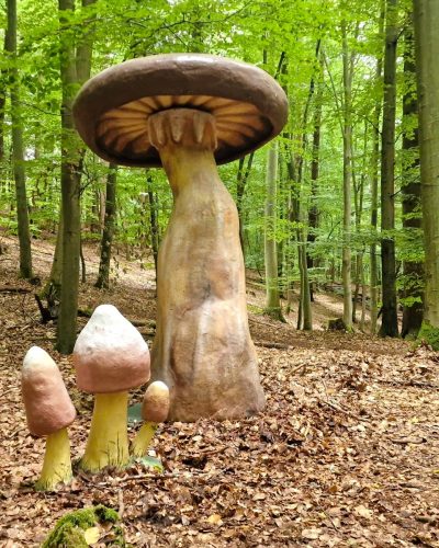 Riesenpilz mieten