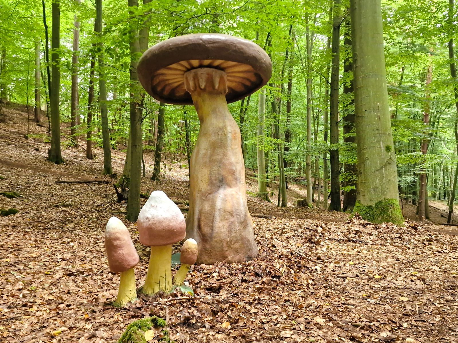 Riesenpilz mieten
