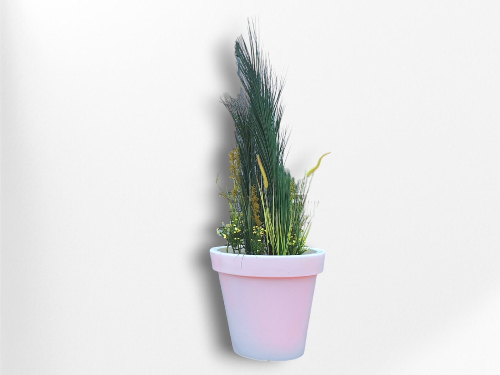 Strandgras Arrangement mieten