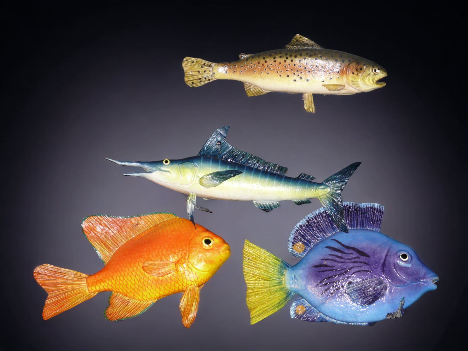 Fische - Südsee ∗ No.4