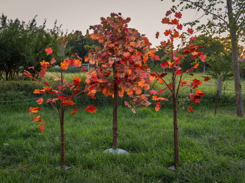 Dekoration Herbstbäume