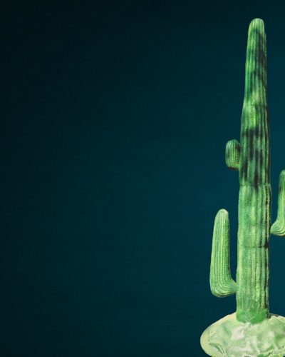 Kaktus Kunststoff