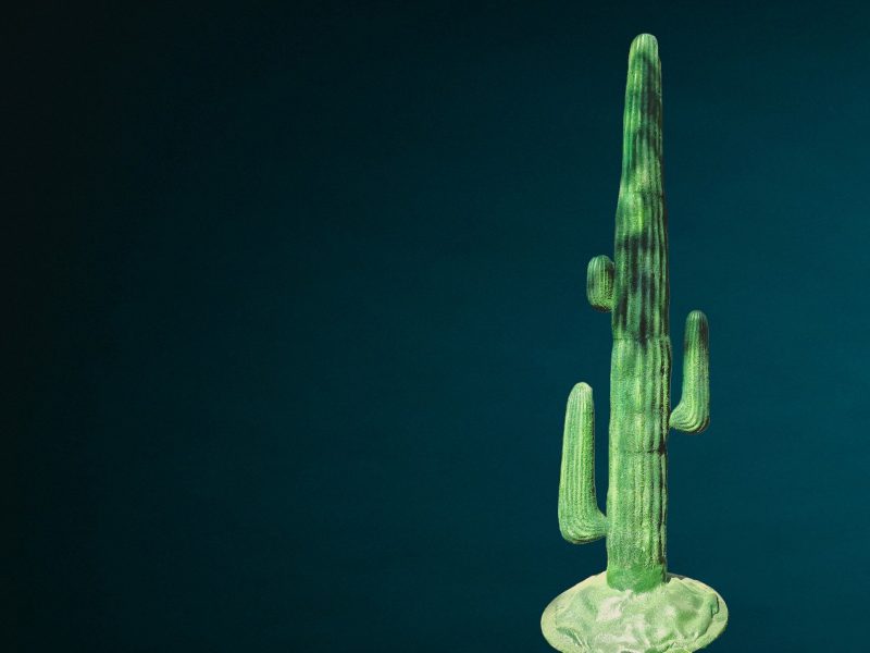Kaktus Kunststoff