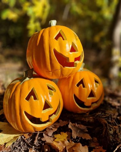 Kürbis für Halloween