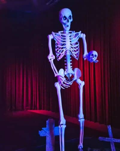 XXL Skeleton Halloween
