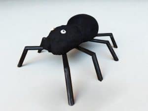 Spinne XXL mieten