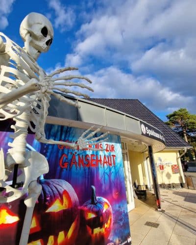 XXL Skelett Halloween mieten
