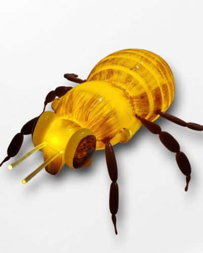 Ameise Dekoration beleuchtet