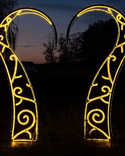 Licht Lilie ∗ No.1a