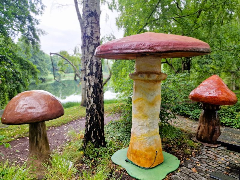 Riesenpilz für Events