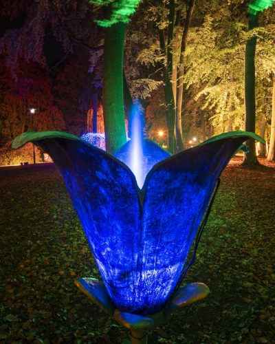 Springblume - Springbrunnen in der Blume