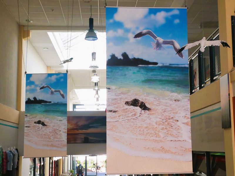 Strand Display