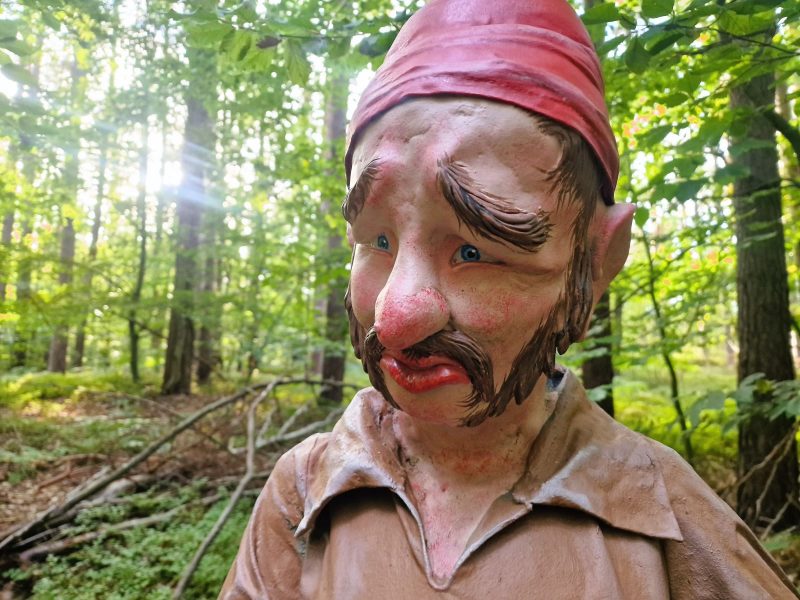 7 Zwerge mieten