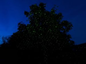Laser Beleuchtung