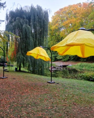 Blume 34 Miete Blumen