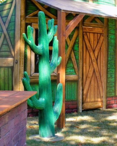 Miete Kaktus