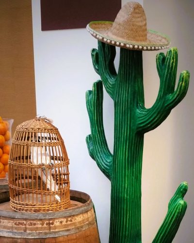 Deko Kaktus