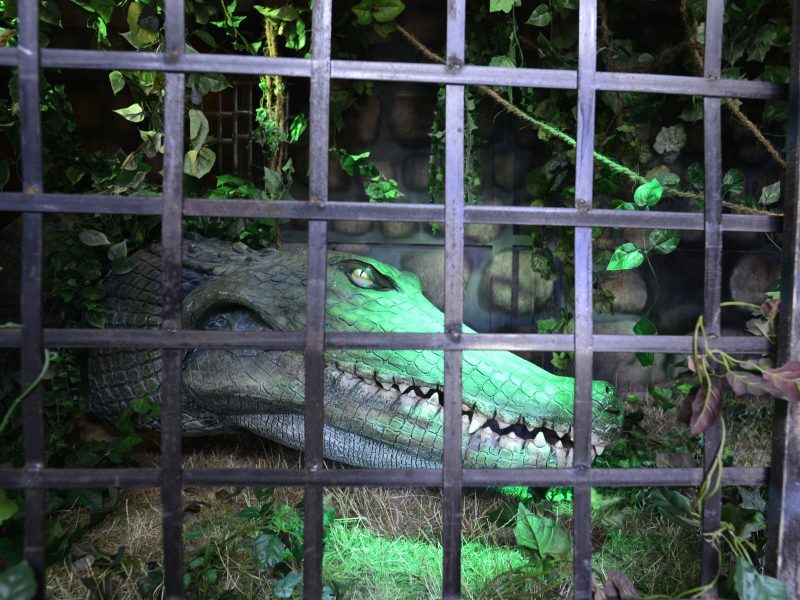 Krokodil Grotte Ausstattung