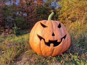 Halloween Kürbis