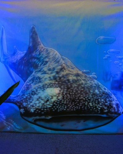 Unterwasser Dekoration