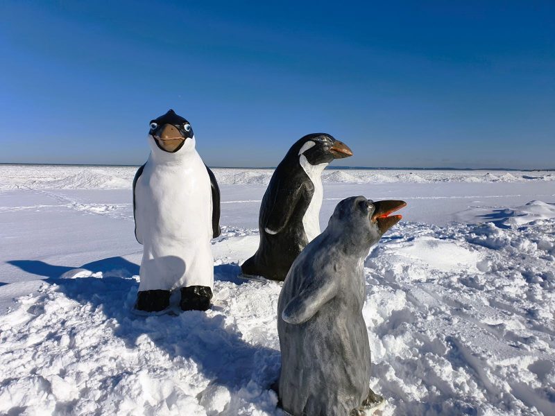 Pinguine Skulpturen