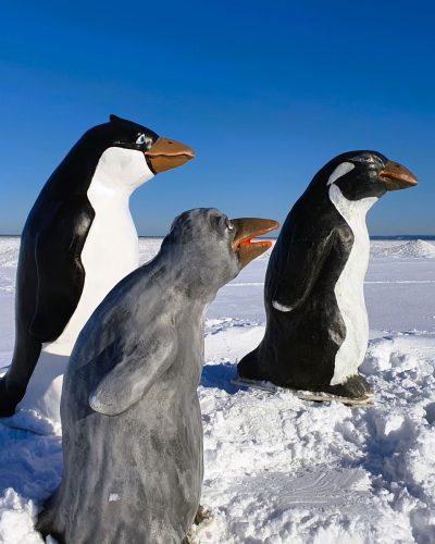 Miete Pinguin Figuren