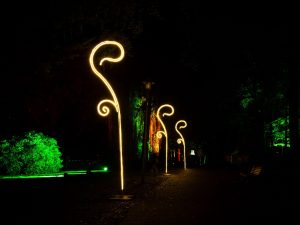 Lichtdekoration