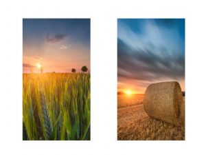Ausstattung Sommerbilder