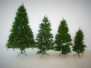 Tannenbäume mieten