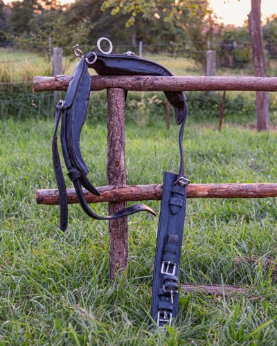Zaumzeug Dekoration