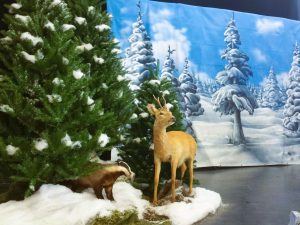 Winterwald