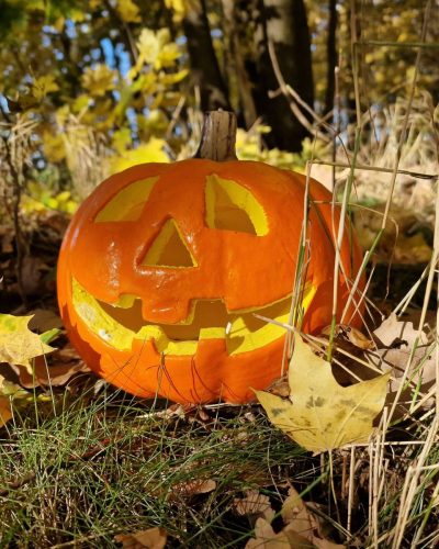 Halloween Kürbis mieten