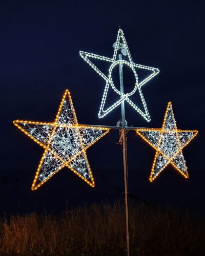 Weihnachtssterne mieten