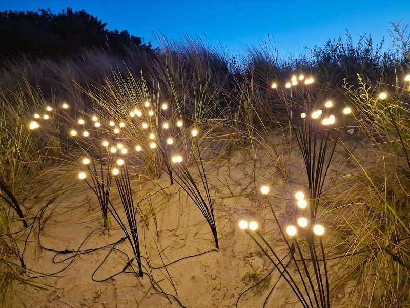 Leuchtendes Gras mieten