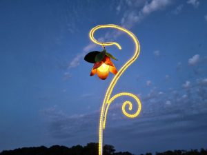 Leuchtende Blume mieten