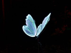 Hochzeit Schmetterling