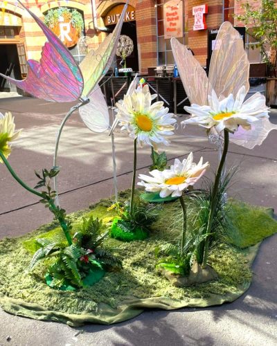 Schmetterlinge mieten